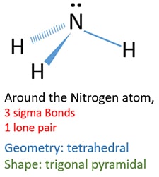 shape and geometry of ammonia NH3 molecule